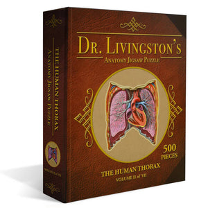 Dr Livingston's Anatomy 500-Piece Jigsaw Puzzle: The Human Thorax - Genius Games