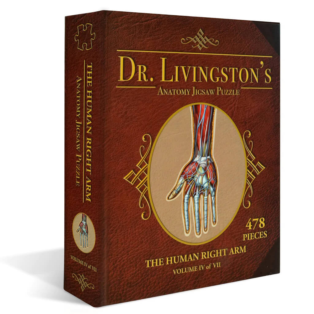 Dr Livingston's Anatomy 478-Piece Jigsaw Puzzle: The Human Right Arm - Genius Games