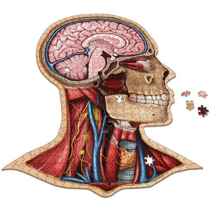 Dr Livingston's Anatomy 441-Piece Jigsaw Puzzle: The Human Head - Genius Games