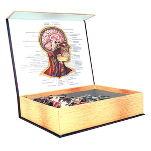 Dr Livingston's Anatomy 441-Piece Jigsaw Puzzle: The Human Head - Genius Games