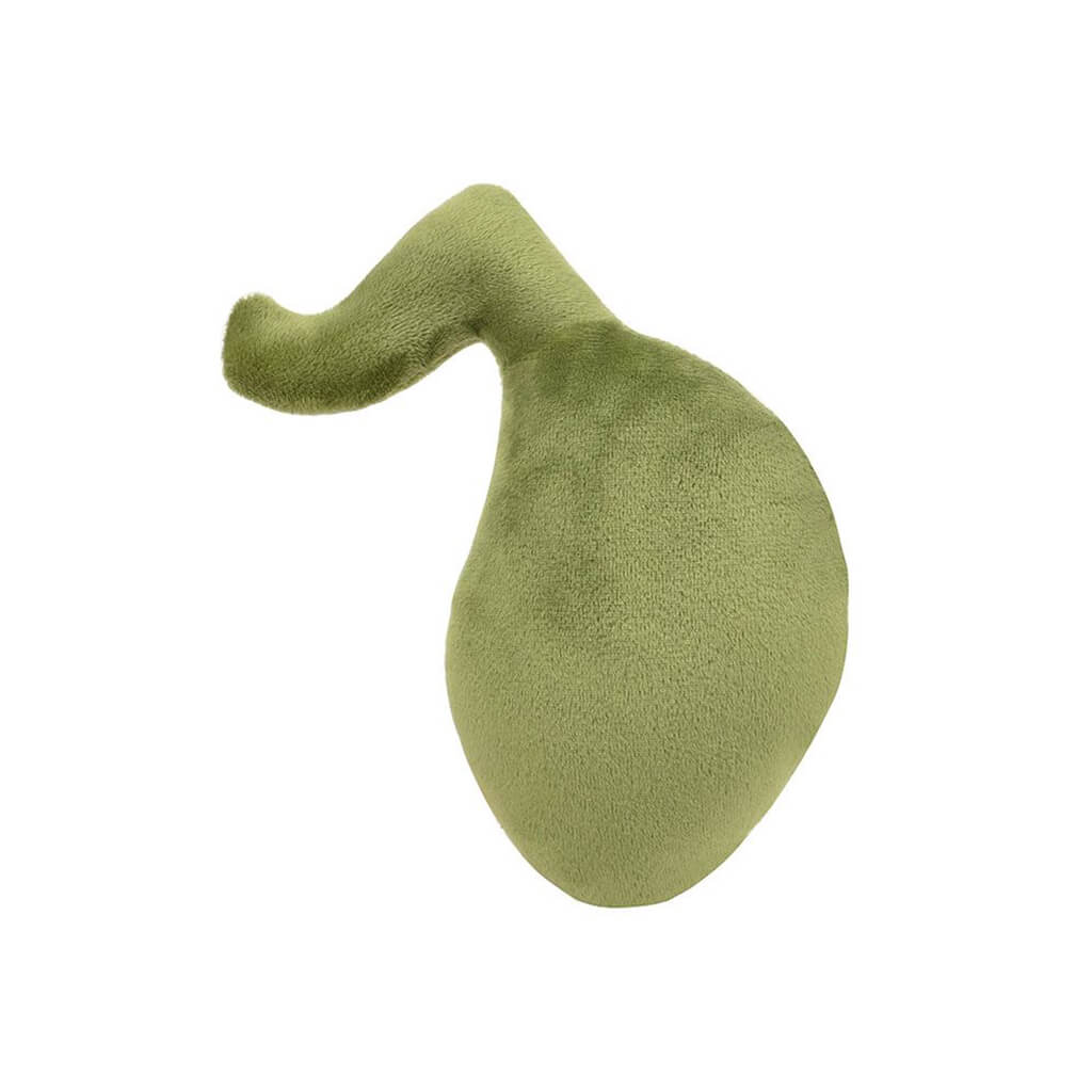 Gallbladder Soft Toy - Giant Microbes - Steam Rocket