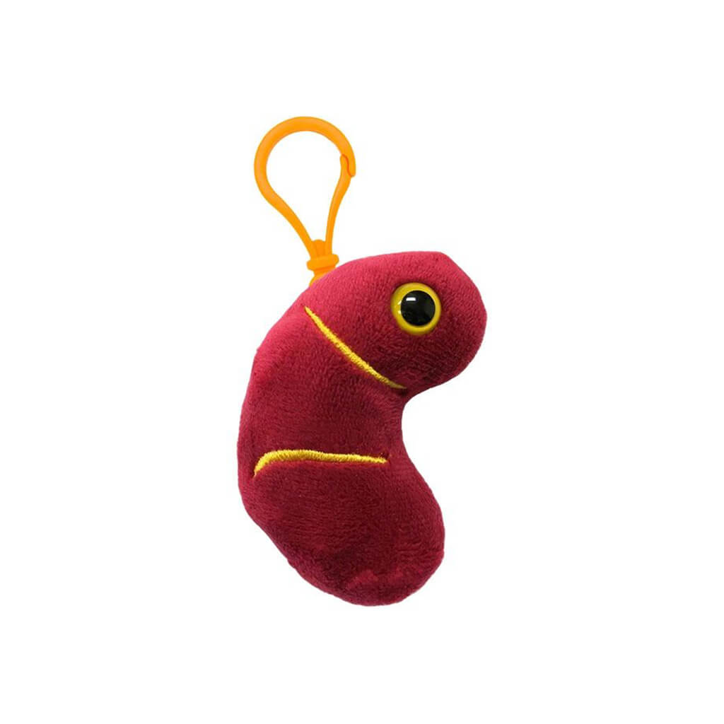 Kidney Key Ring - Giant Microbes