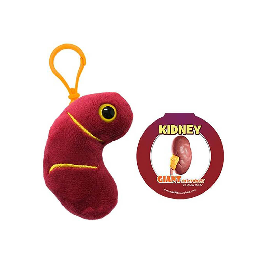 Kidney Key Ring - Giant Microbes