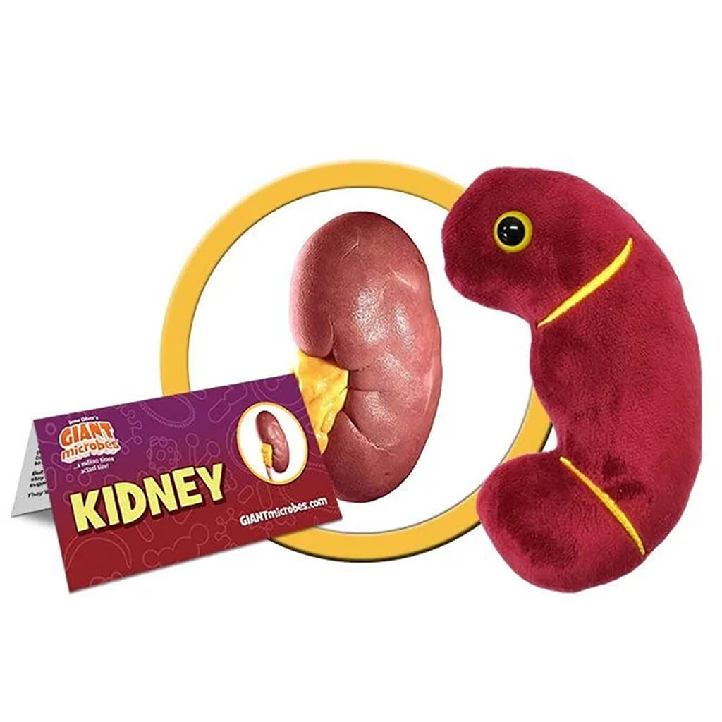 Kidney Soft Toy - Giant Microbes