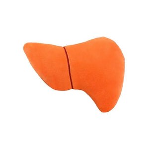 Giant Microbes Liver Soft Toy Steam Rocket Fun Educational Toys Games