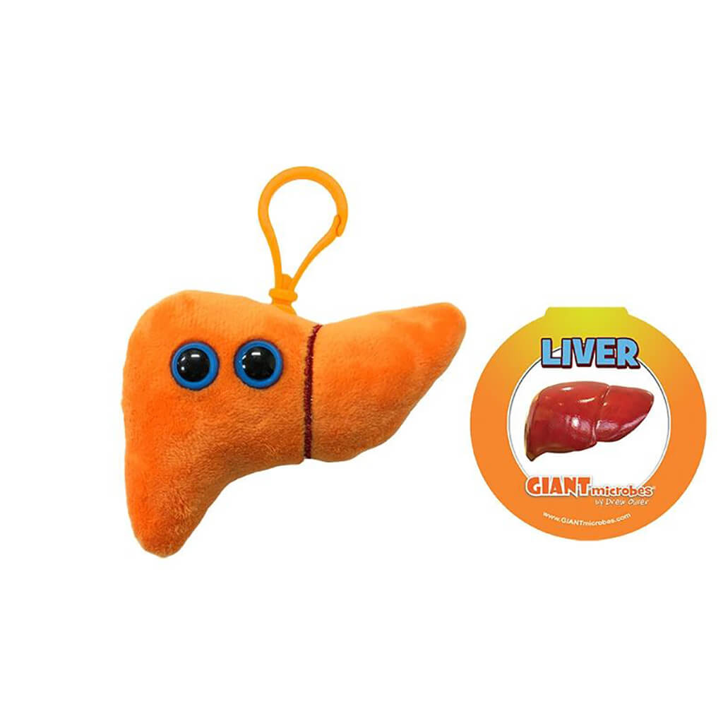 Liver Key Ring - Giant Microbes