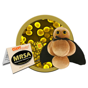 MRSA (Methicillin-Resistant Staphylococcus Aureus) Soft Toy - Giant Microbes