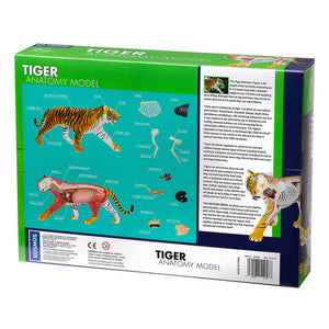 Nature Discovery Tiger Anatomy Kit - Steam Rocket