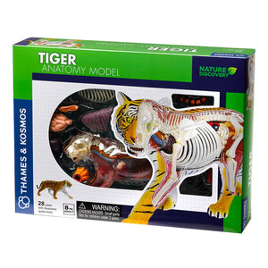 Nature Discovery Tiger Anatomy Kit - Steam Rocket