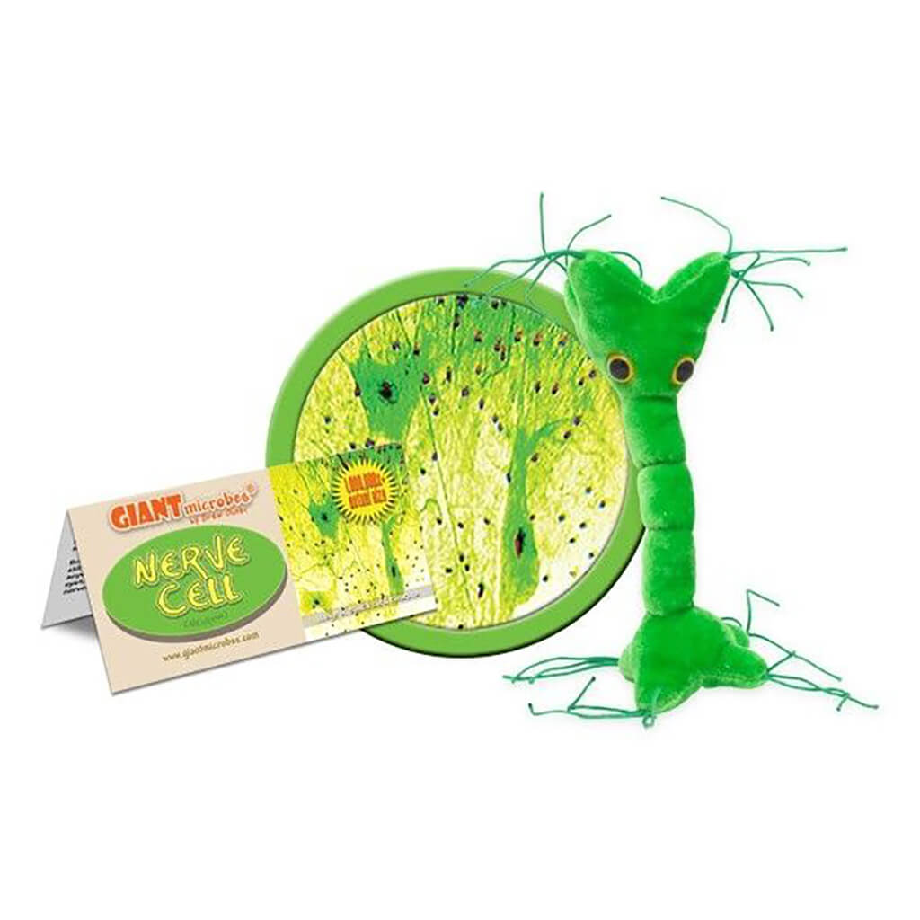Nerve Cell (Neuron) Soft Toy - Giant Microbes