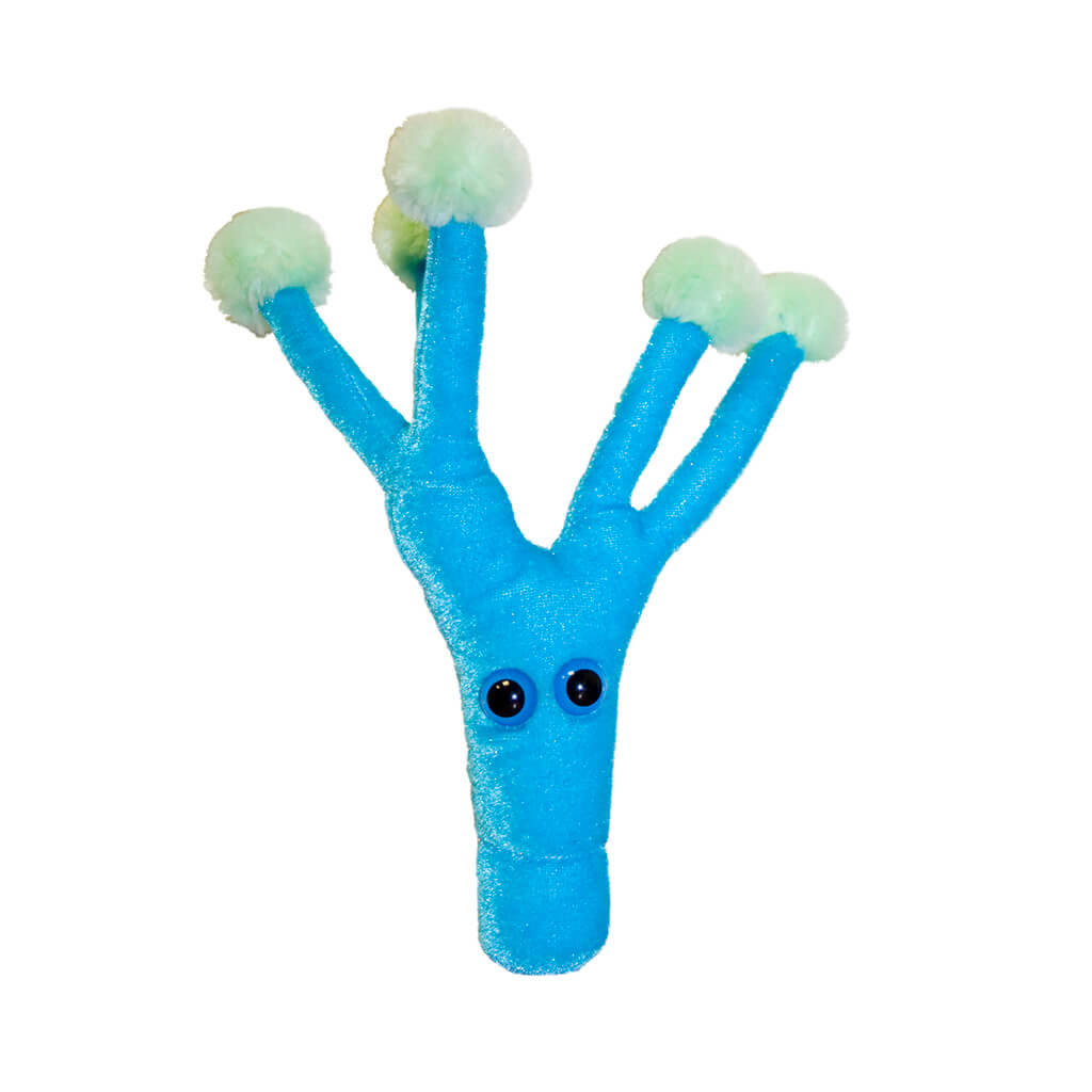 Penicillin (Penicillium Chrysogenum) Soft Toy - Giant Microbes