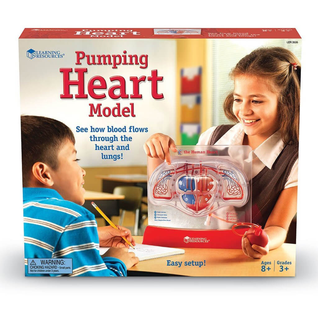 Pumping Heart Model - Steam Rocket