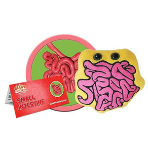 Small Intestine Soft Toy - Giant Microbes