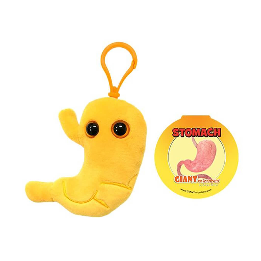 Digestive Key Ring Giant Microbes Stomach Key Ring | Steam Rocket | Fun, Educational Toys ...