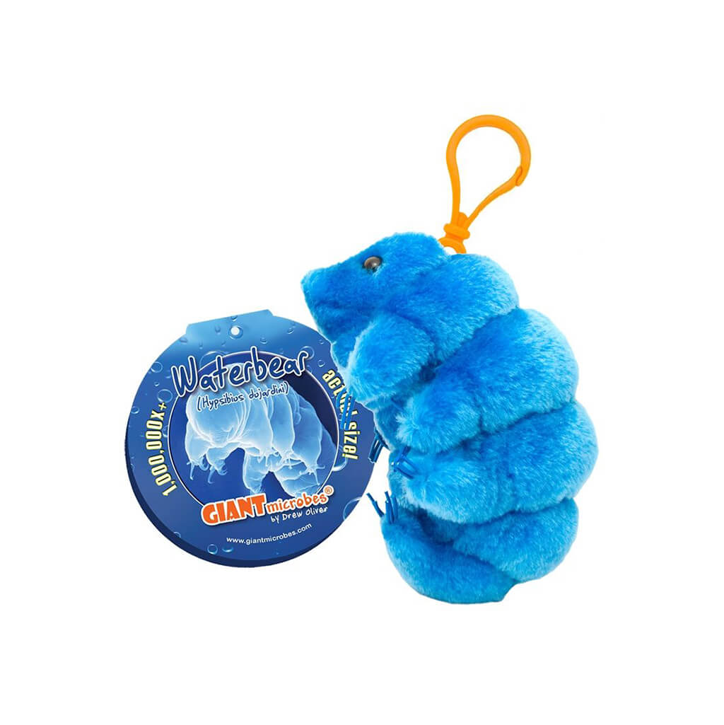 Waterbear (Tardigrade) Key Ring - Giant Microbes